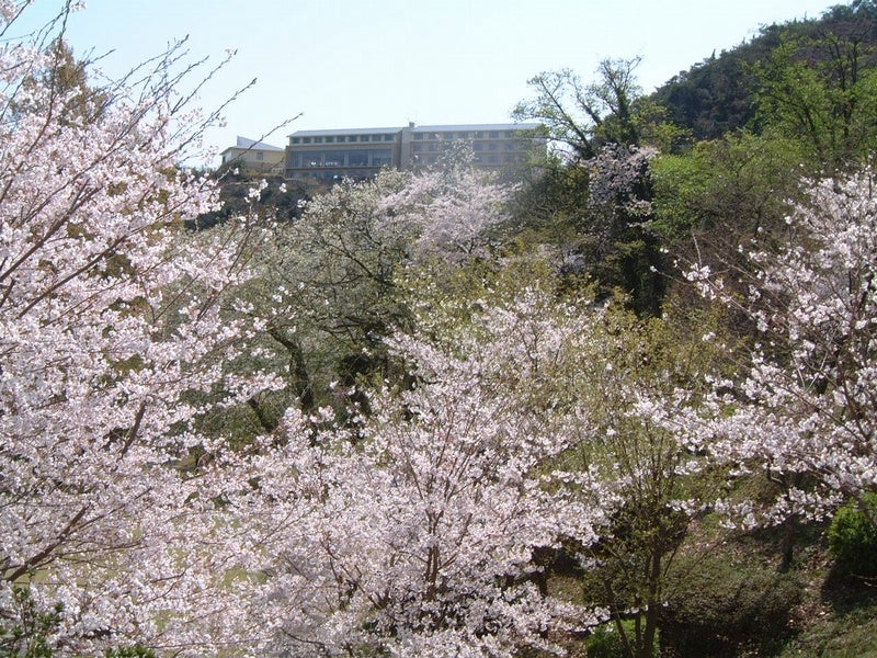 園地から見上げる休暇村瀬戸内東予