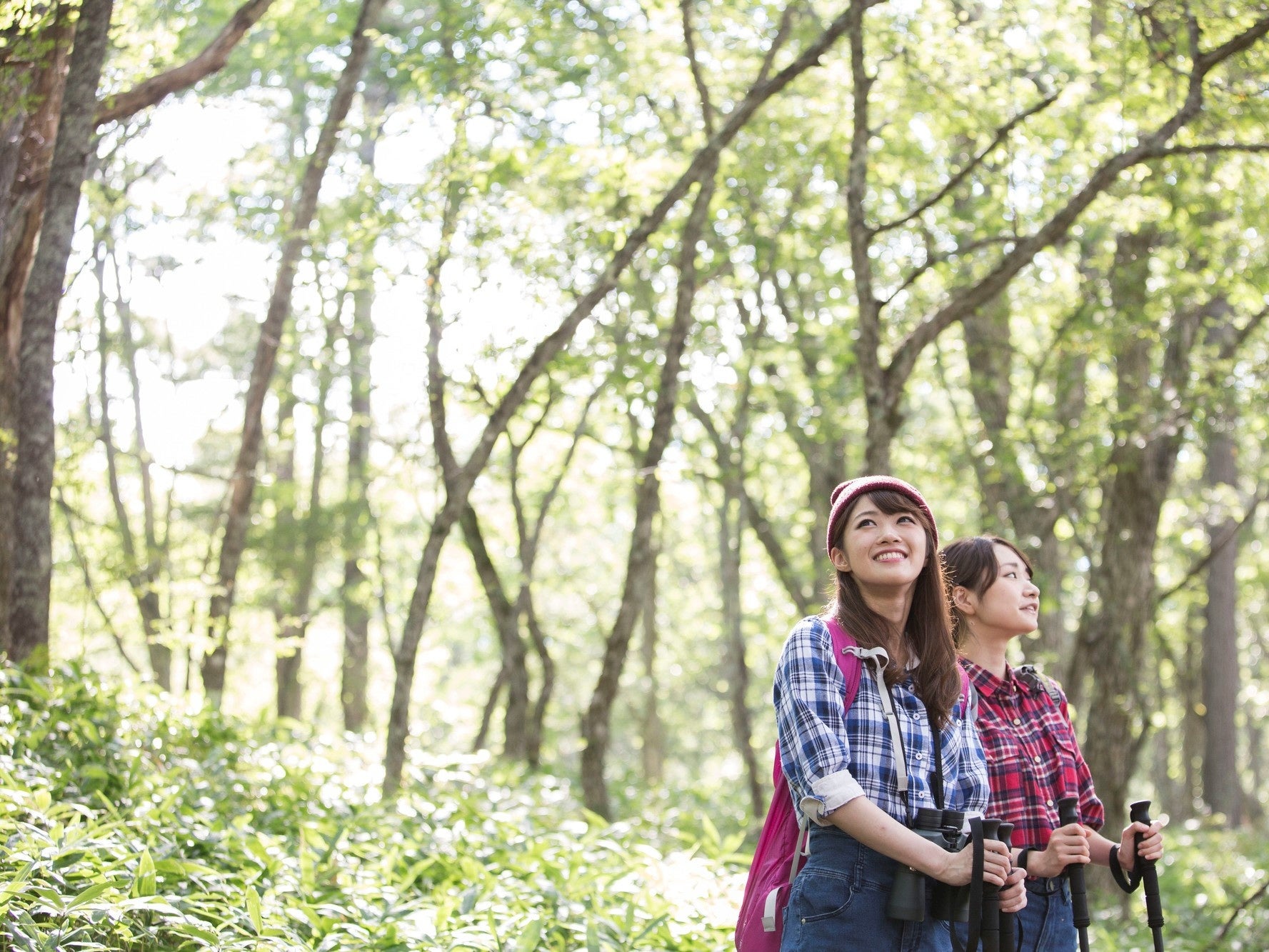 手ぶらで愉しむ散策の「ＯＮＥＵＰ」