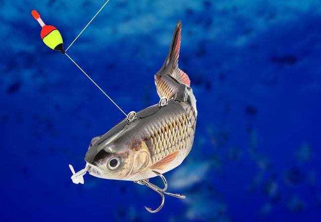 水中に入れると生きた魚のように泳ぐおもしろルアー 自動で泳いで魚を誘う Usb充電式電動ルアー Fi Lur130 95 計5タイプ登場 昌騰有限会社のプレスリリース 水中に入れると生きた魚のように泳ぐおもしろルアー 自動で泳いで魚を誘う Usb充電式電動ルアー Fi Lur130 95 計5タイプ登場 昌騰有限会社のプレスリリース