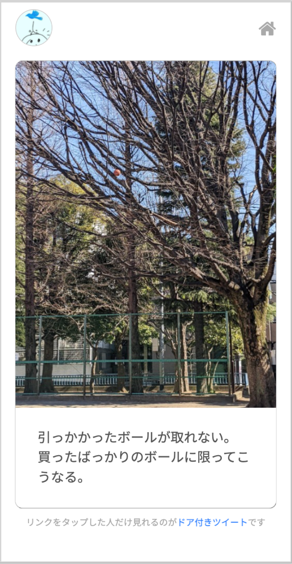 テキスト＋画像