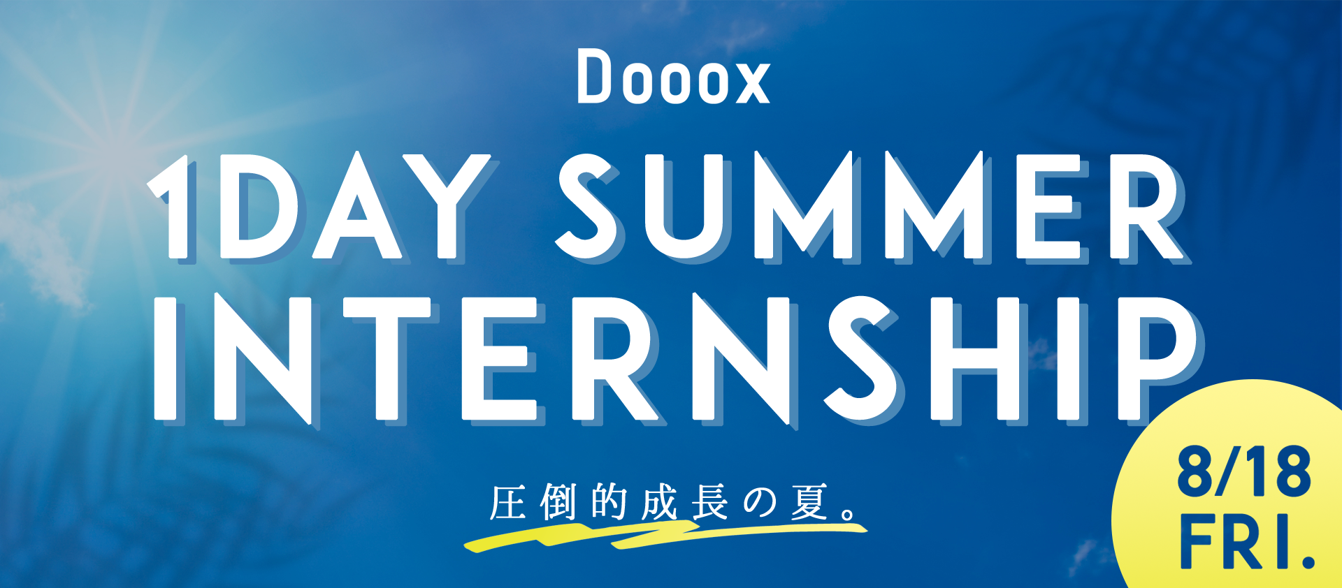 初のサマーインターンシップを開催