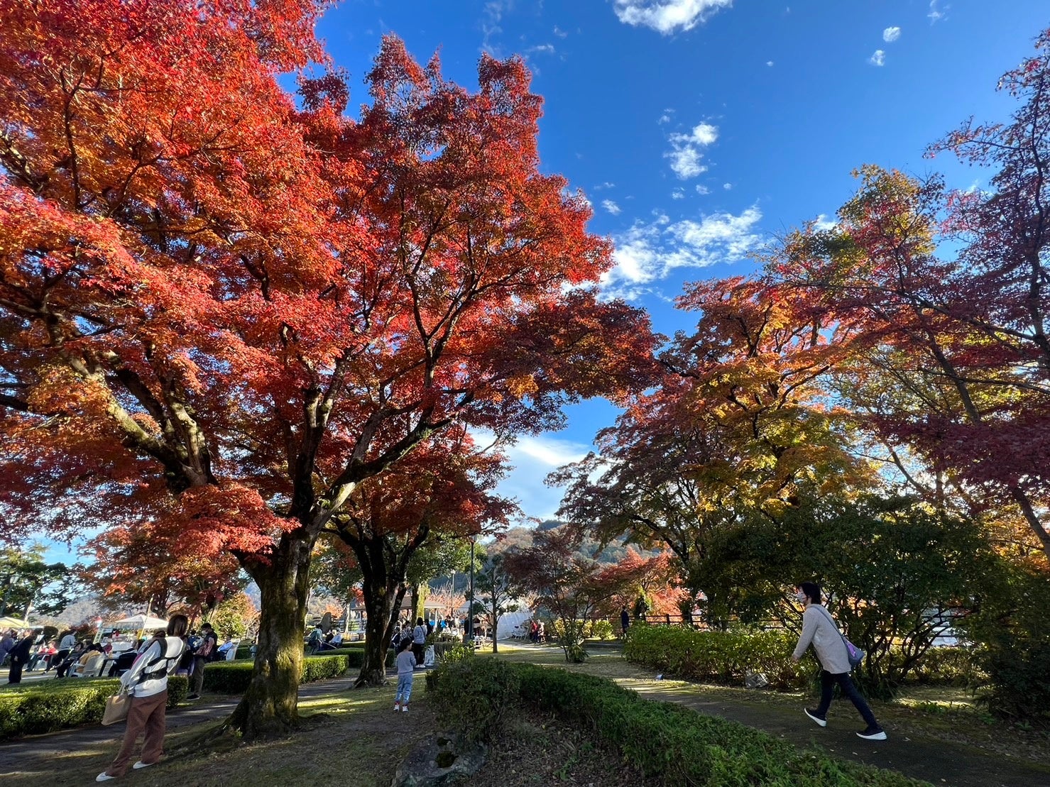 豊門公園から見える景色
