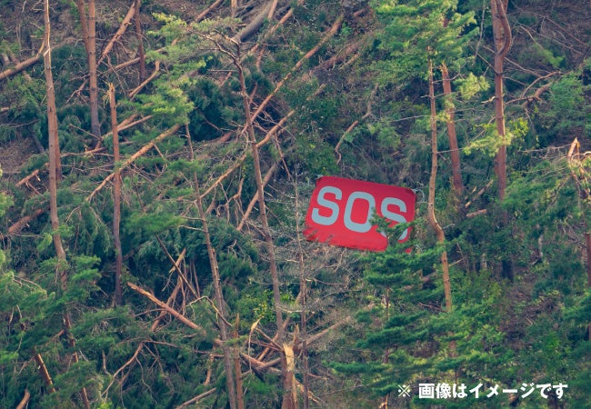 山の中での使用イメージ