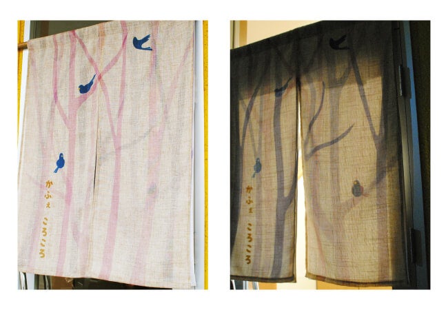 時間帯によっても雰囲気が変わる