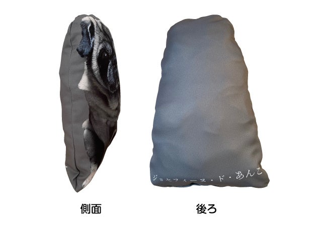 クッションがしっかり入っているので弾力抜群