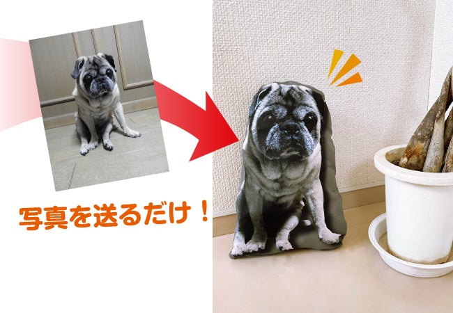 写真を送るだけで簡単に製作