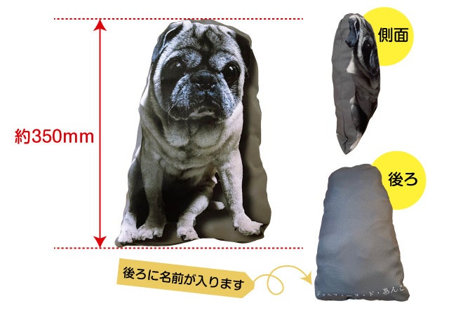 ダイカットペットクッションの参考サイズ
