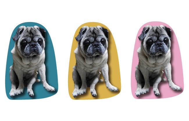 お好きなカラーでお作りいただけます