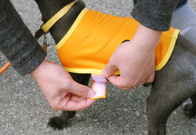 面ファスナーなのでサイズ調整も可能