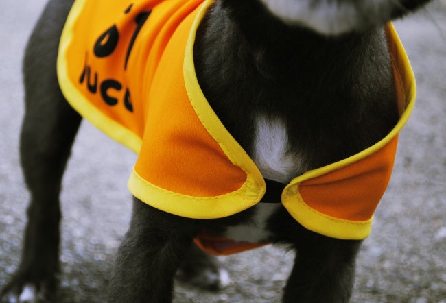 首元はゴムバンドなので被せるだけ