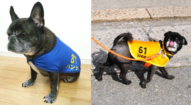 サイズバリエーションが豊富になりました