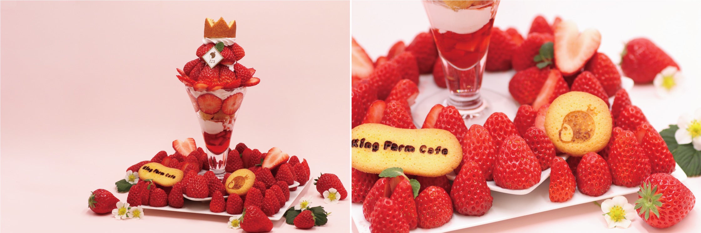 苺狂も大満足!】昨年はインスタでも話題になったいちご農家だから