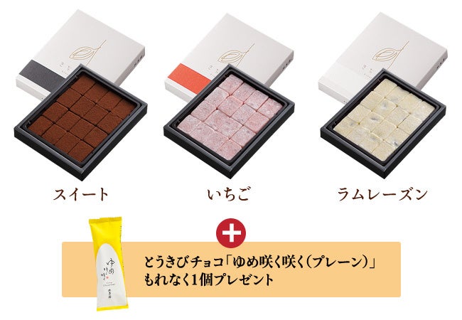 北菓楼】魅惑のチョコレート商品を取り揃えた北菓楼の