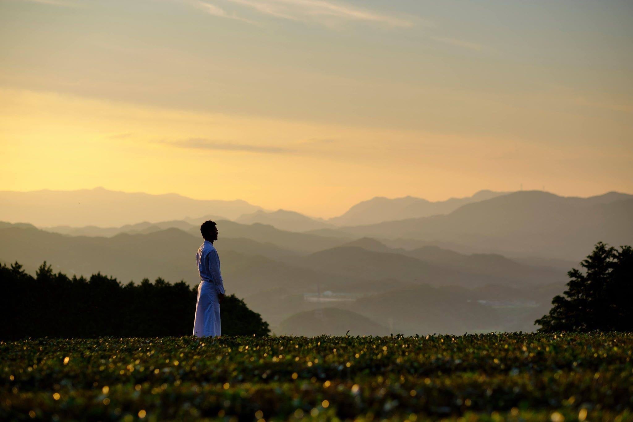 茶畑と北野秀一さん