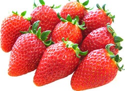 大子町産いちご （品種・いばらキッス）