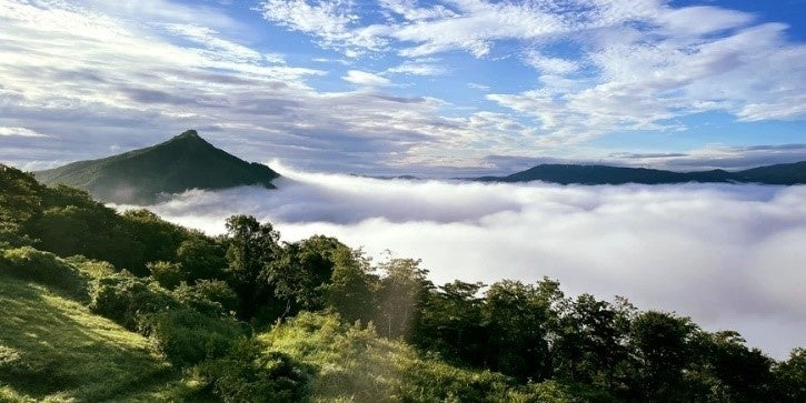スカイパレスときわからの風景