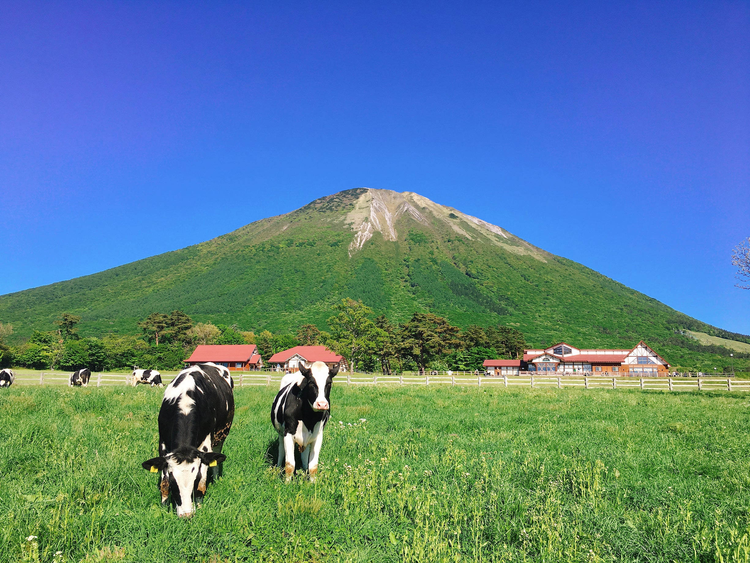 大山まきばみるくの里　メインイメージ