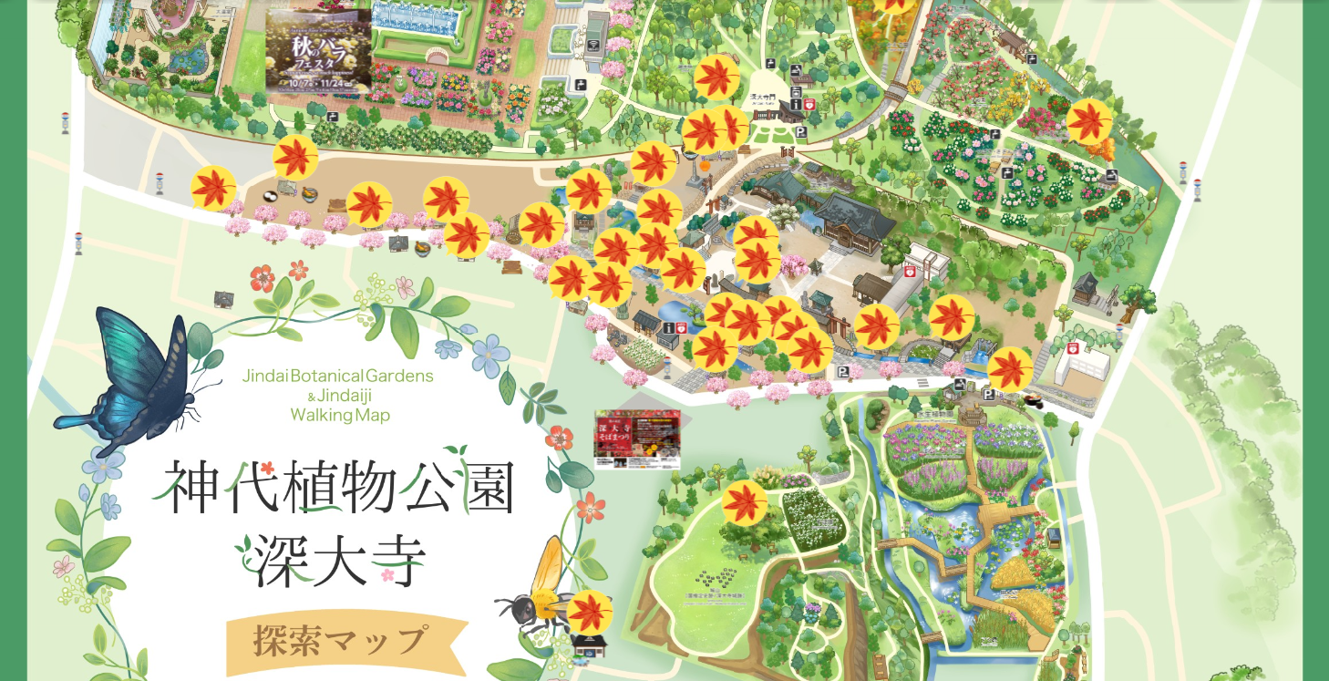「神代植物公園＆深大寺公式探索マップ」紅葉の装いに