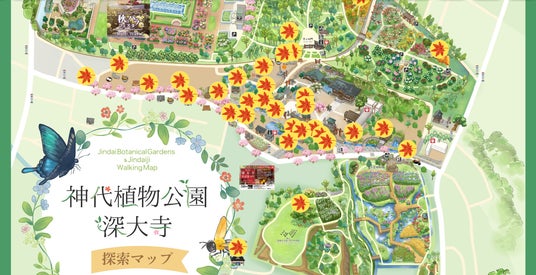 「神代植物公園&深大寺公式探索マップ」紅葉の装いに 「神代植物公園&深大寺公式探索マップ」紅葉の装いに
