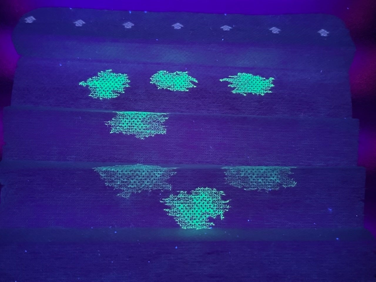 新型コロナウィルスの可視化確認イメージ