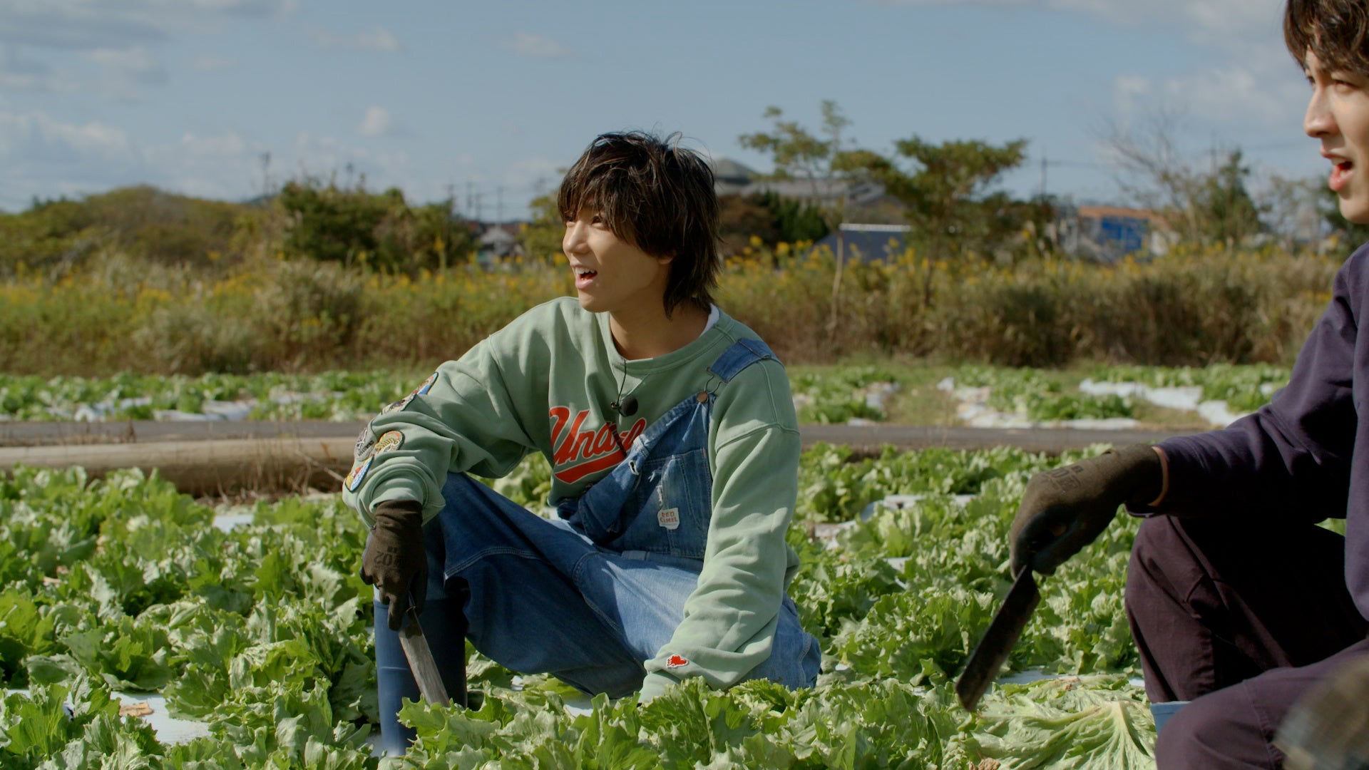 番組シーン（安井謙太郎）