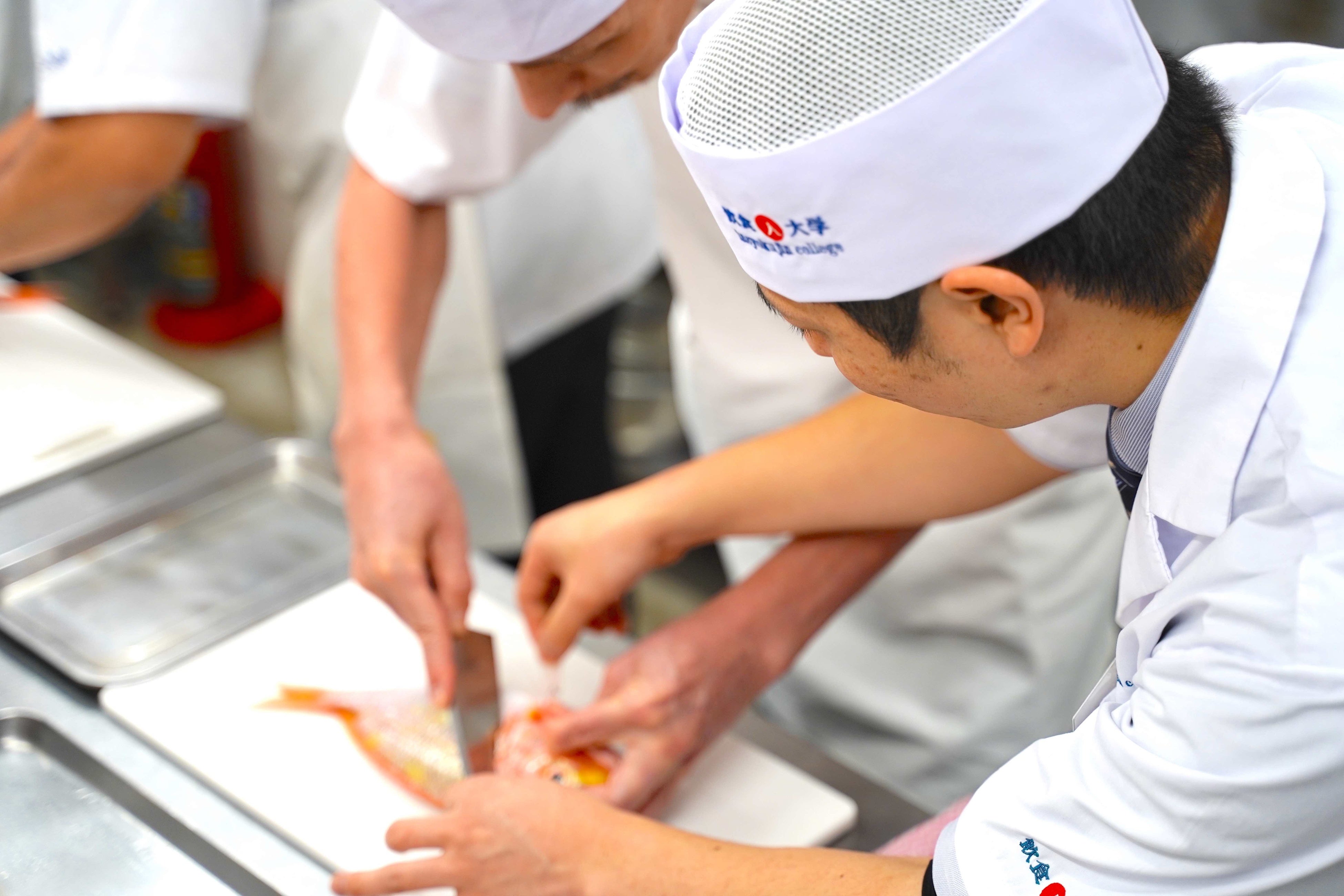 飲食人大学　鮨マイスター専科