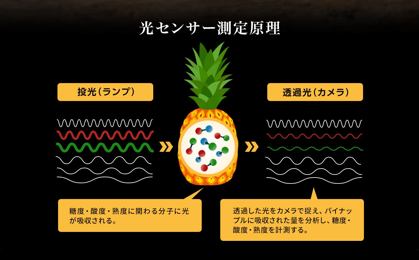バナナで大人気『極撰ブランド』にパイナップルが新登場 『極撰パイン