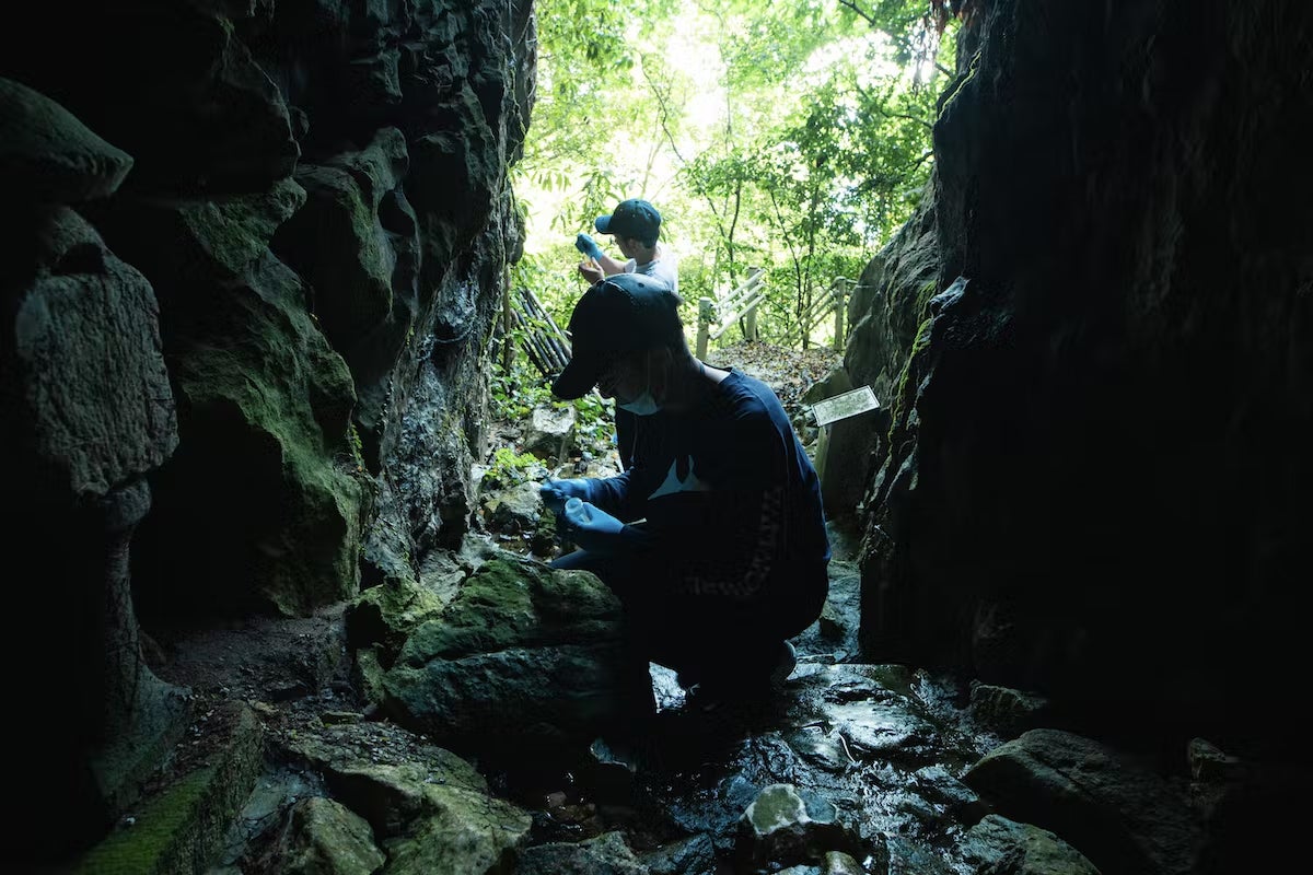 fieldwork