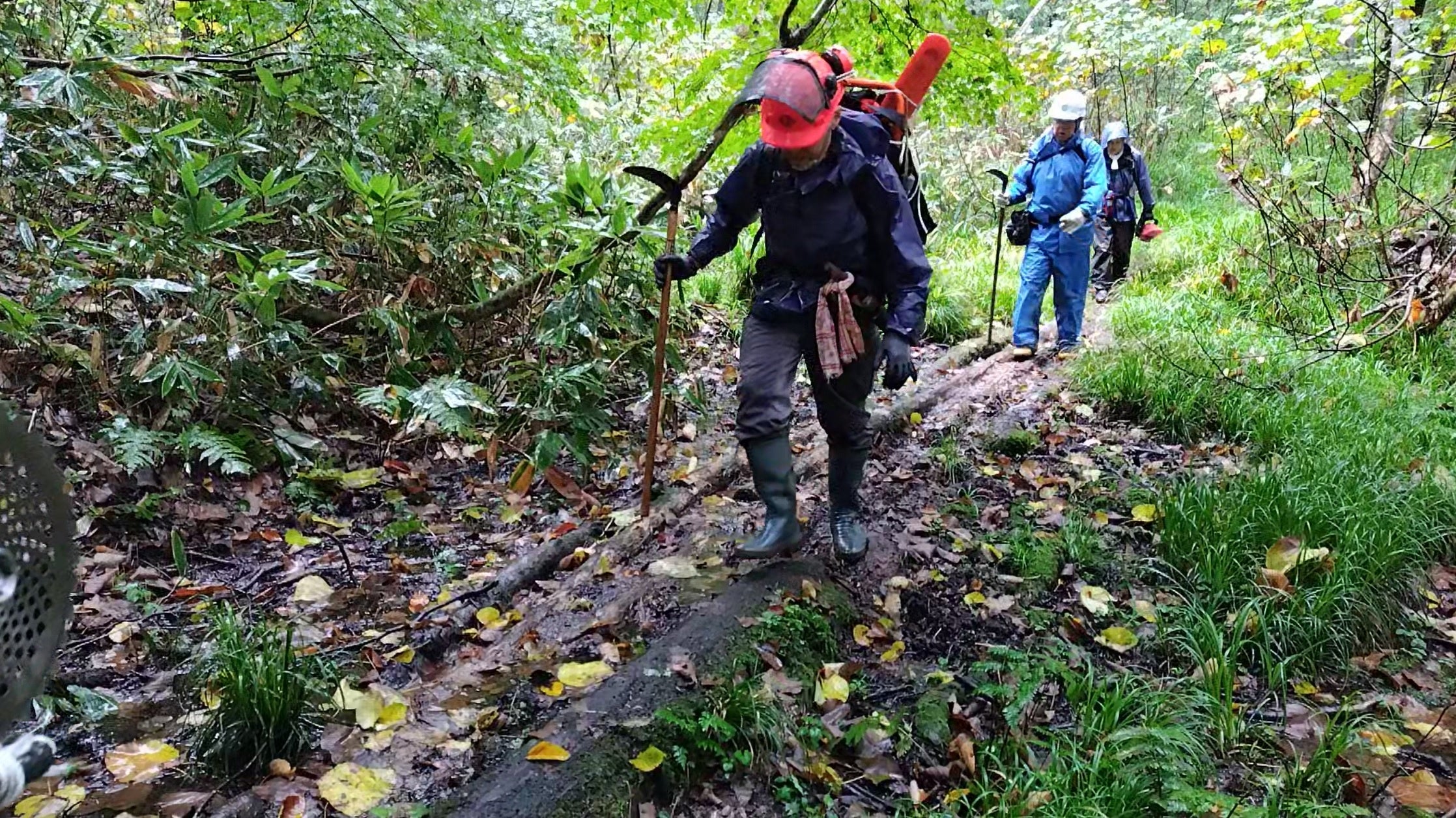ぬかるむ登山道に倒木の材を使用した仮の木道の設置