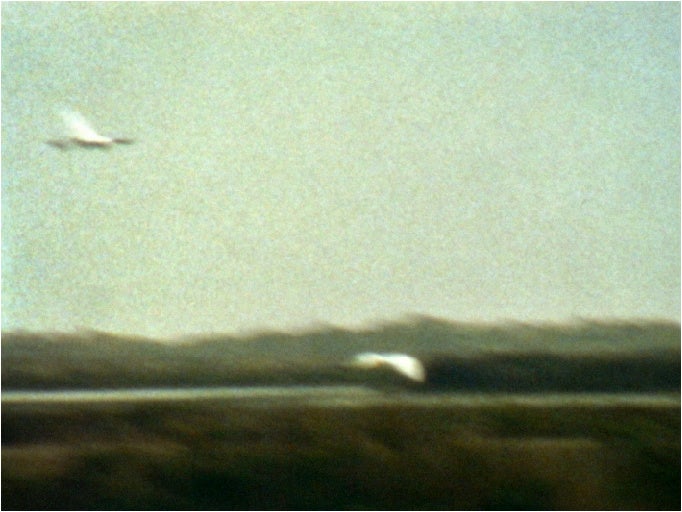 Photo：Isabelle Dupuy Chavanat