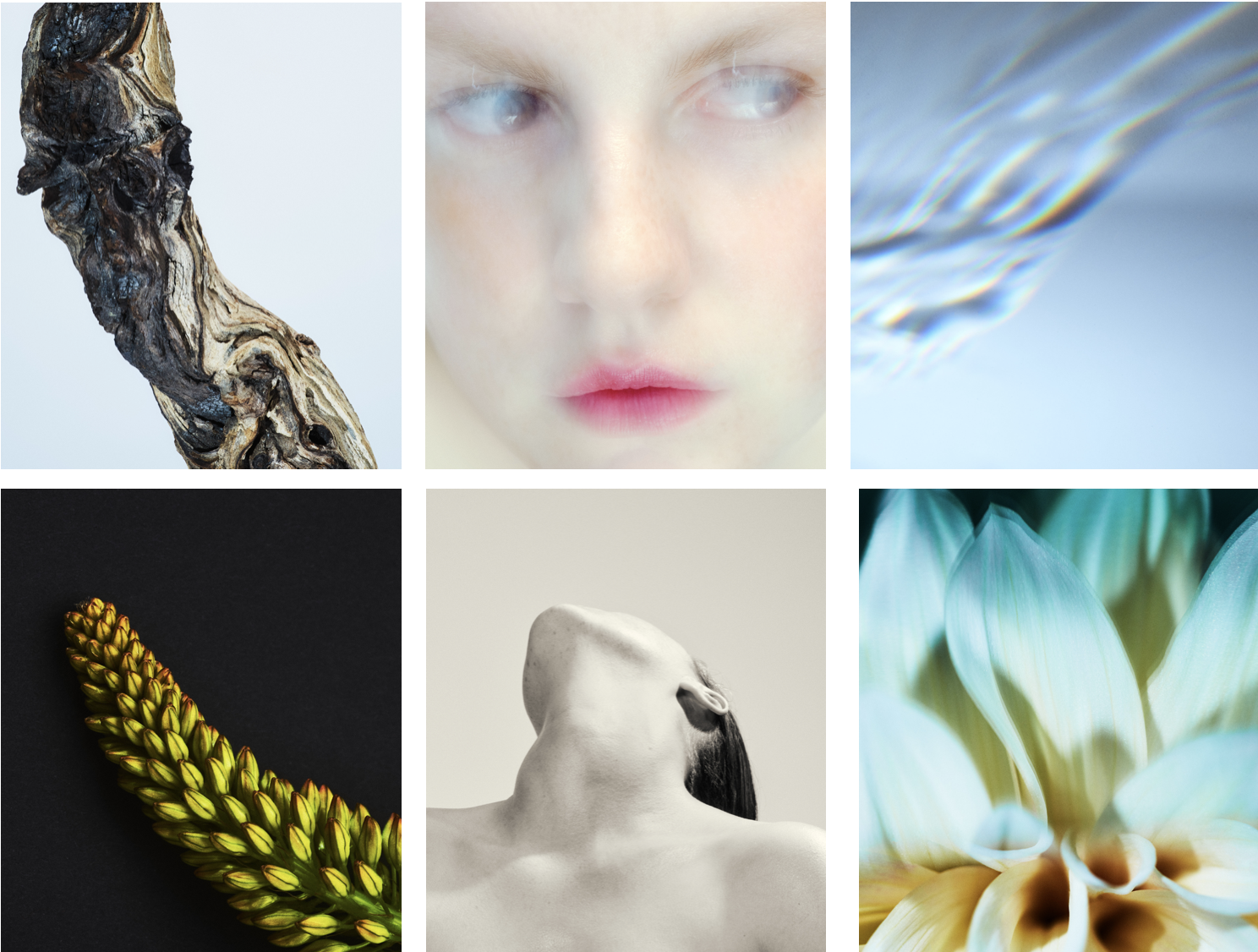 Photo：Casper Sejersen