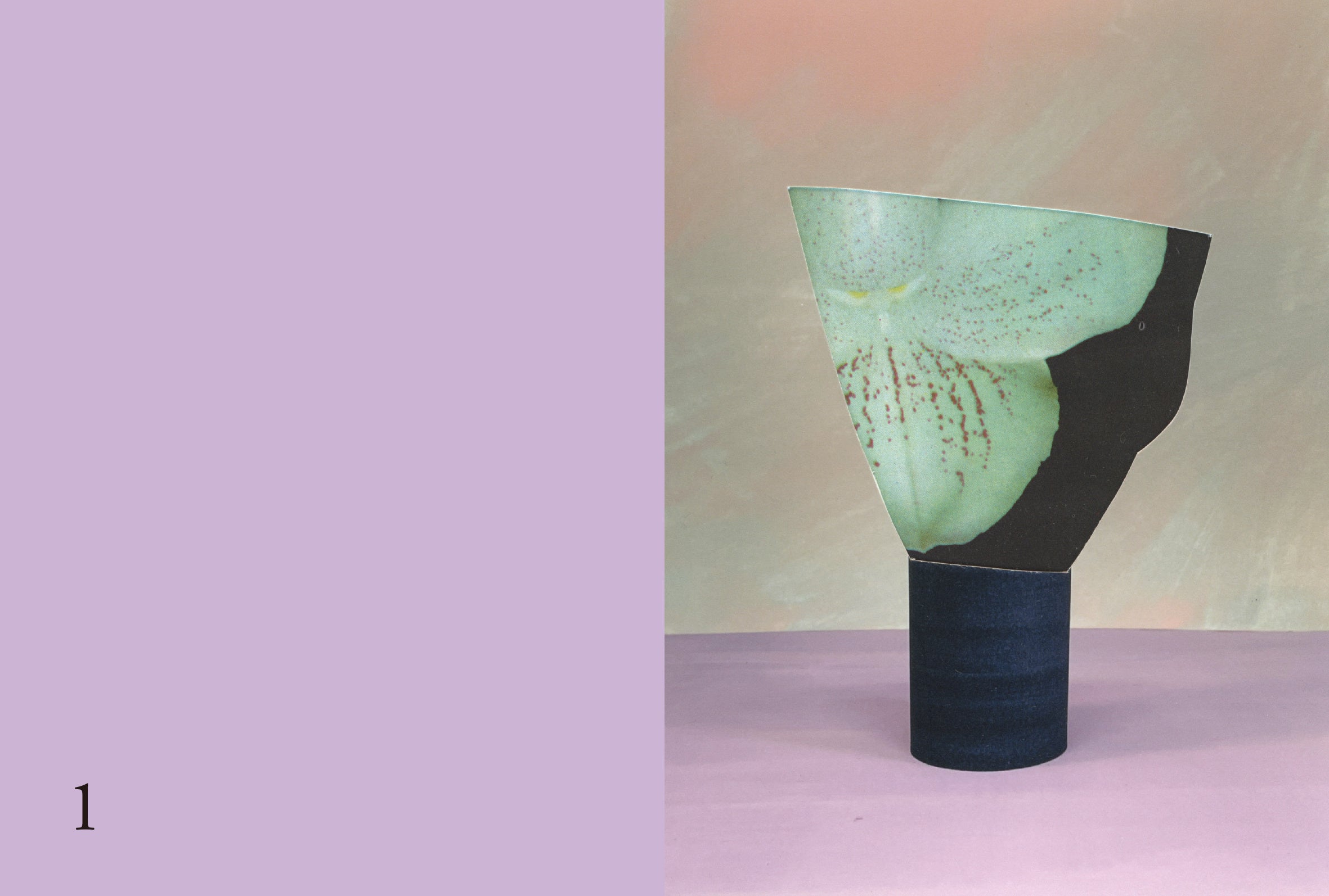 オリジナルアートブック イメージ©️Ruth van Beek