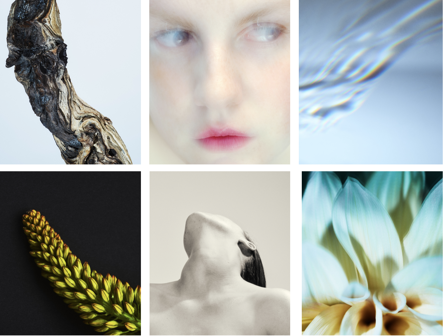 Photo：Casper Sejersen