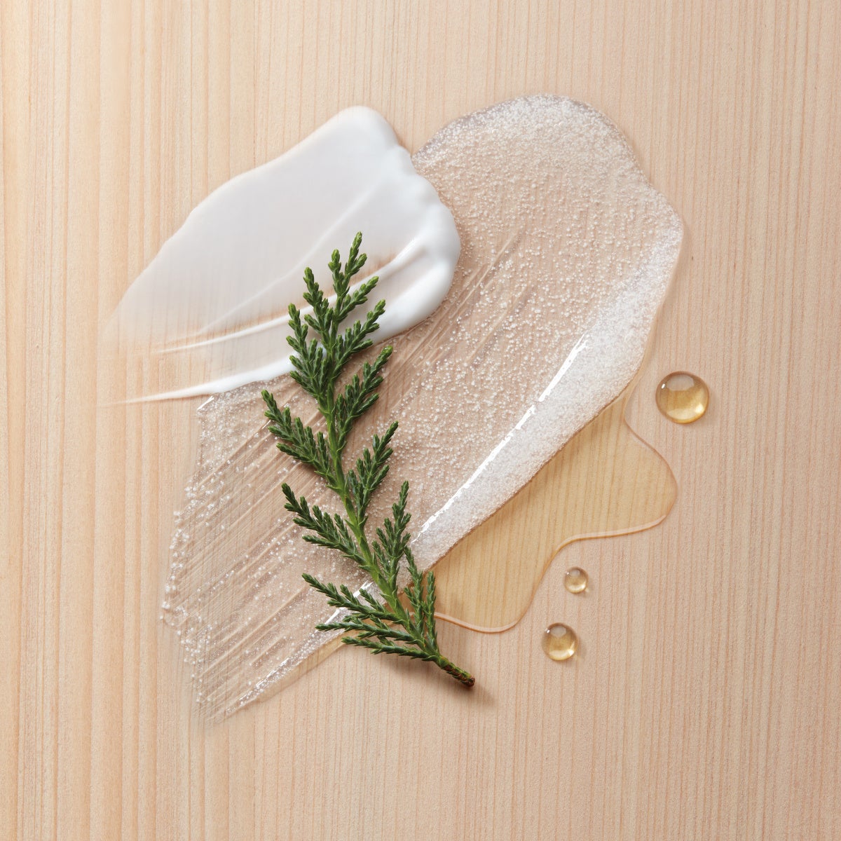 (※画像はイメージです）