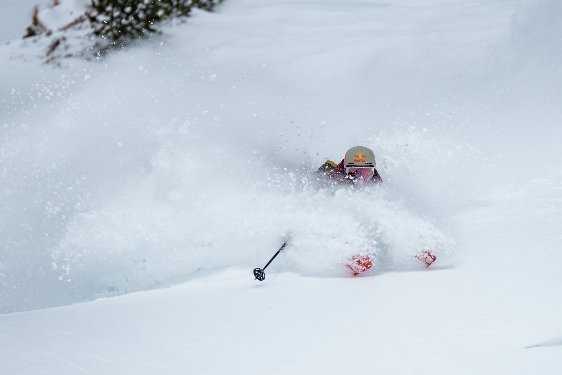 VAN DEER-Red Bull Sports