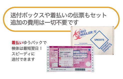 yuu様専用です ユウ様専用です。④ (メルカリと相性◎「ゆう yuu様専用です ユウ様専用です。④ (メルカリと相性◎「ゆう