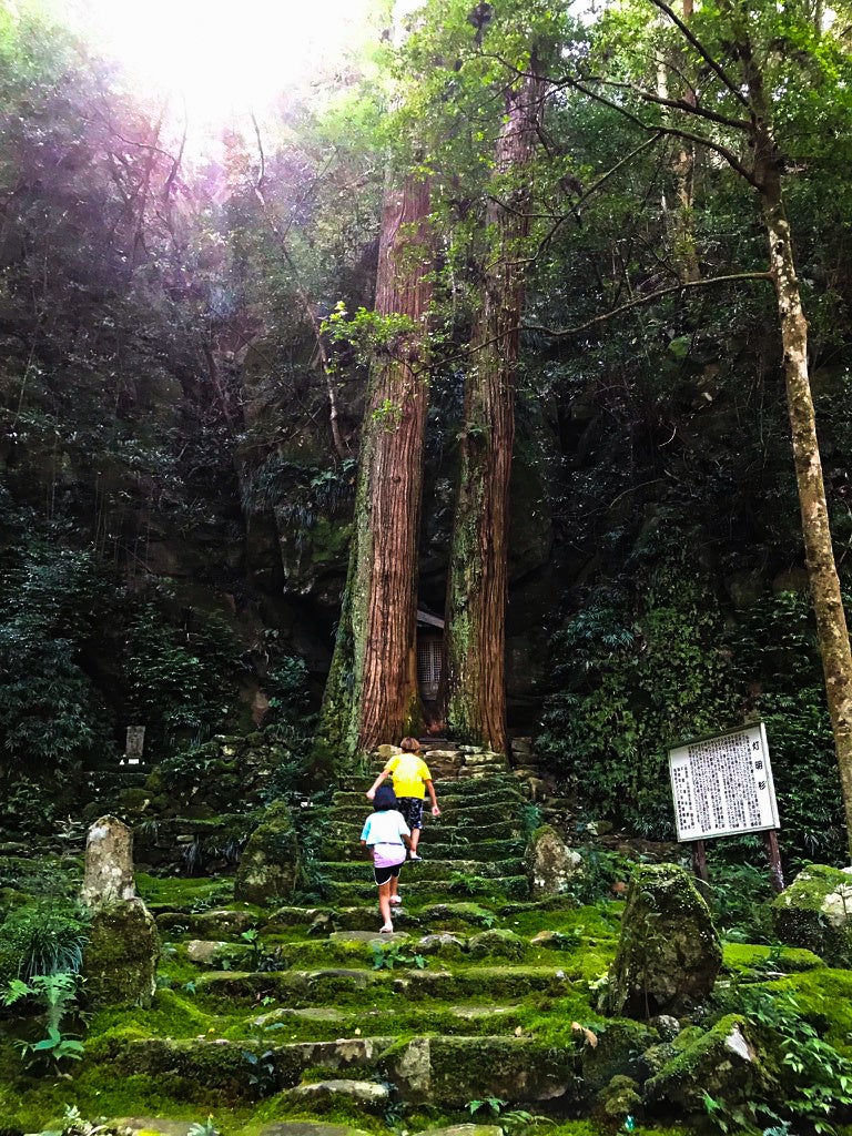 苔が生い茂るお寺を冒険