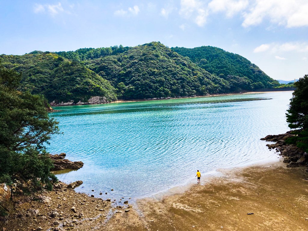 子どもたちの目の前に広がるのは、都会では見られない自然の塊