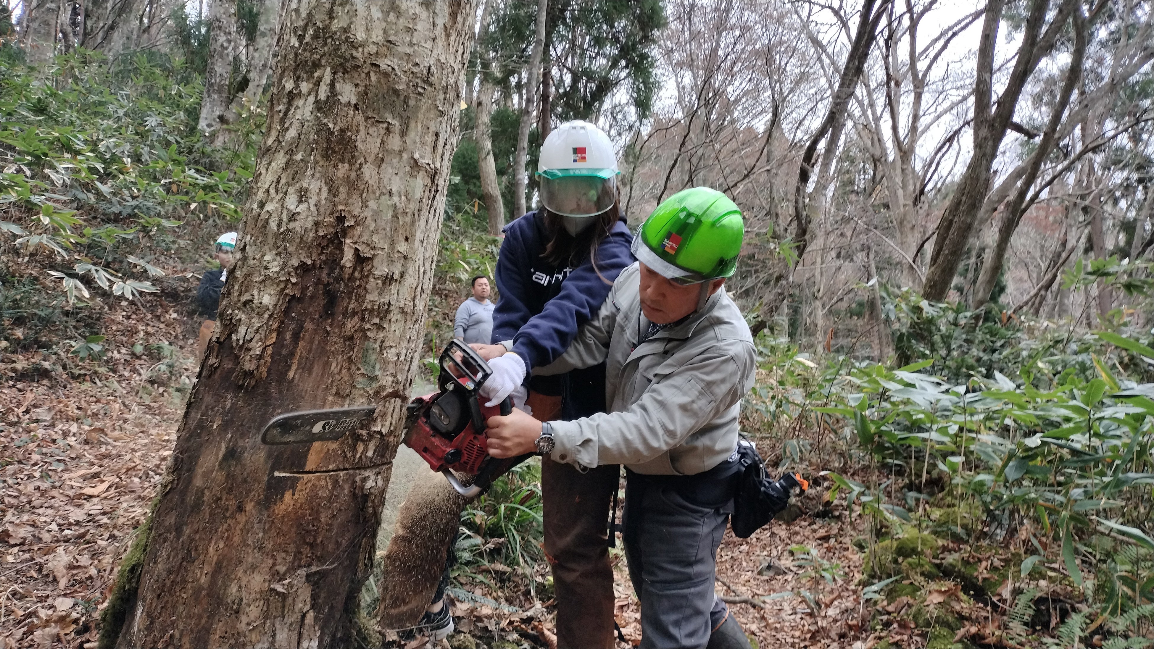 企業協賛メリットのSDGs研修