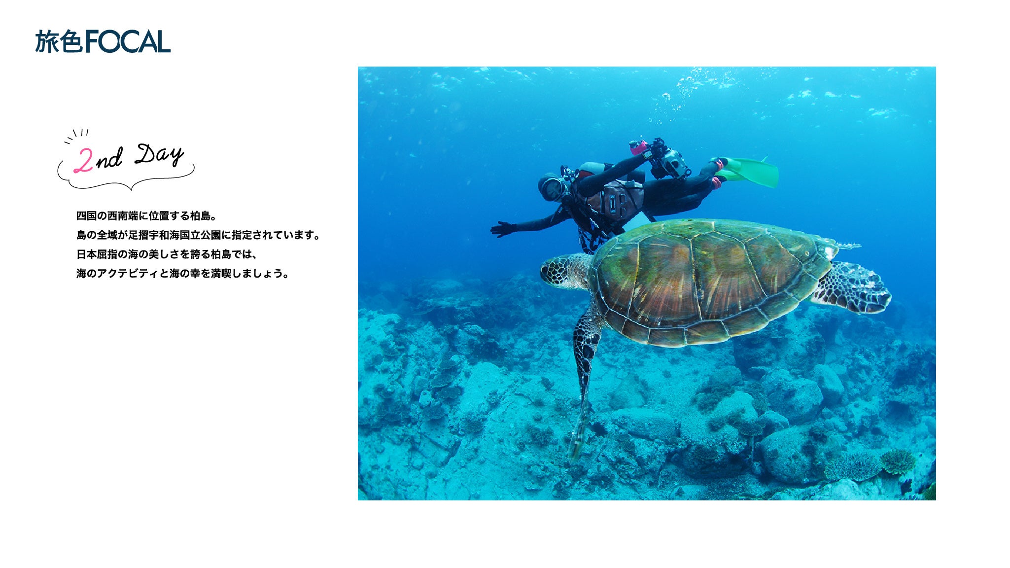 『旅色FOCAL』大月町特集：2ndDAY