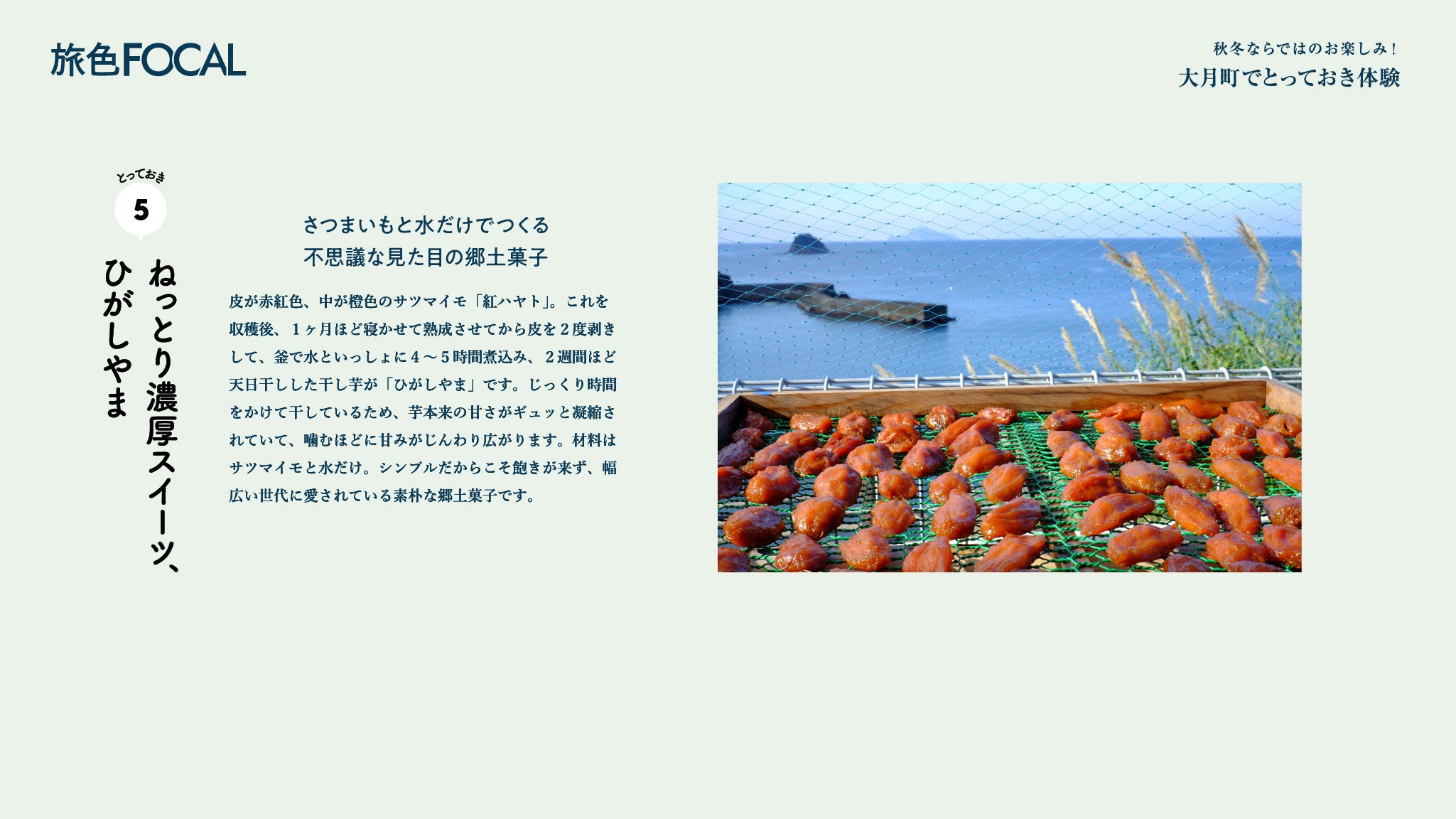 『旅色FOCAL』大月町特集：ひがしやま