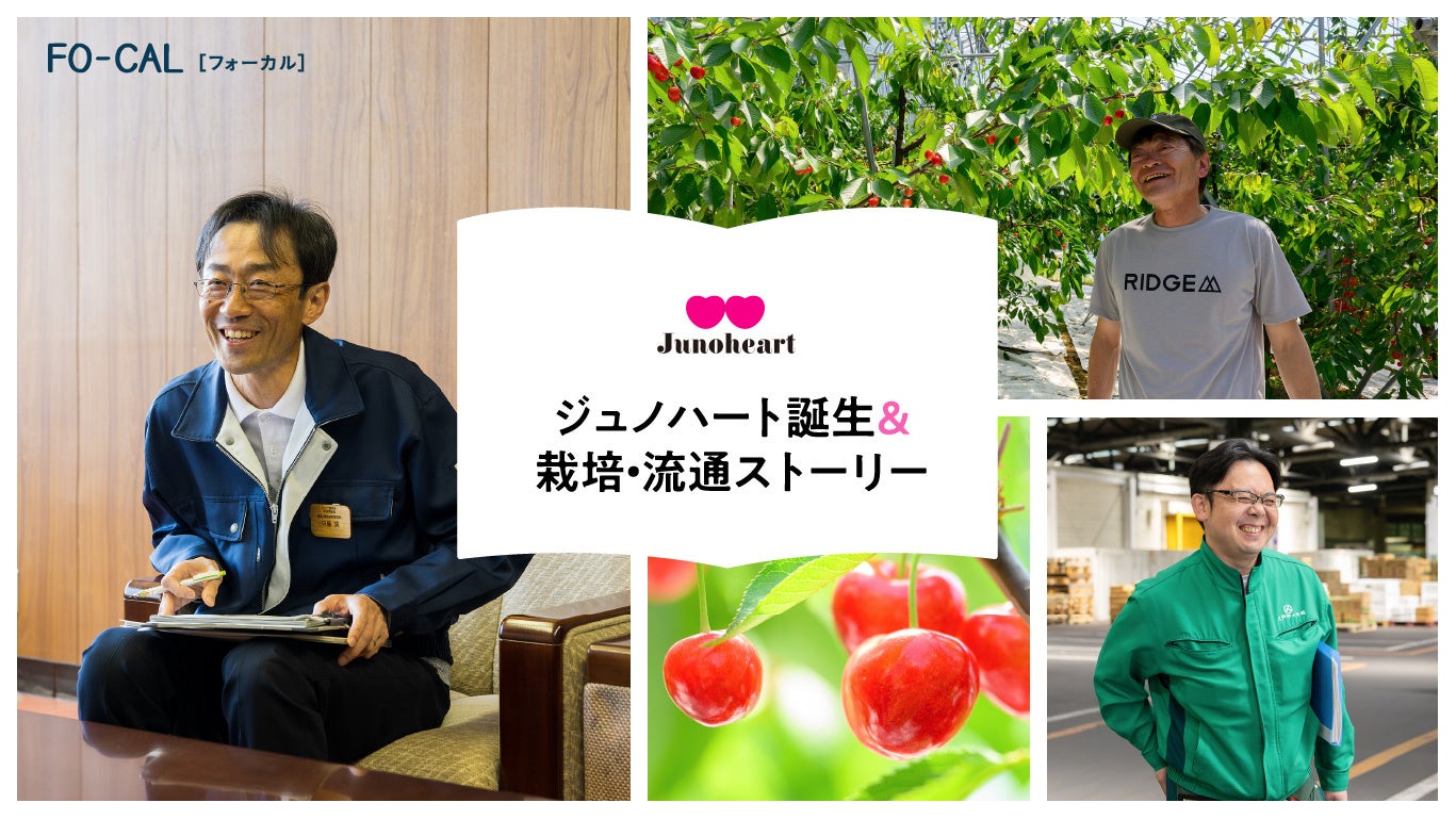「旅色FO-CAL」ジュノハート特集:ジュノハート誕生&栽培・流通ストーリー
