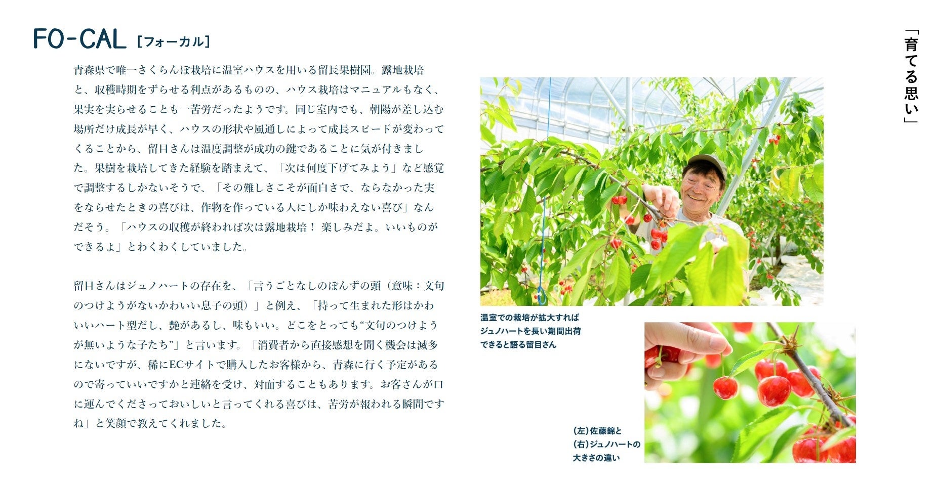 「旅色FO-CAL」ジュノハート特集：佐藤錦とジュノハート