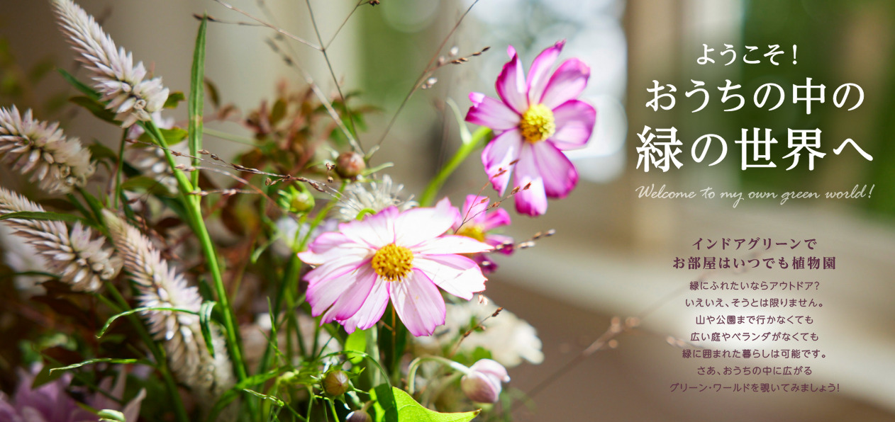 「マドリーム」Vol.52：お部屋の実例