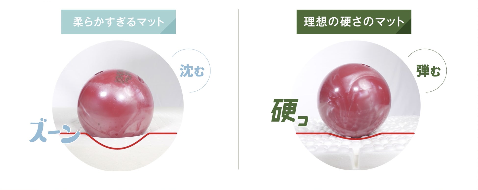 腰がよろこぶ理想の”硬さ”】全日本寝具寝装品協会ヘルスケア認定寝具に