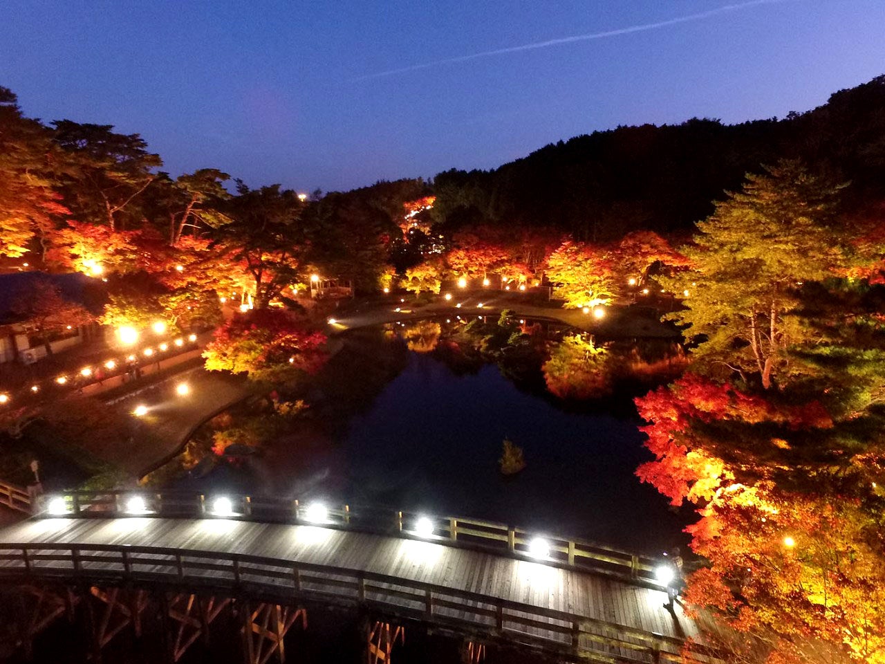 【伊豆の紅葉】修善寺虹の郷、約1000本のもみじが光り輝く『もみじライトアップ』&『秋の打上花火』を開催!11月16日(土)から12月8日(日)まで