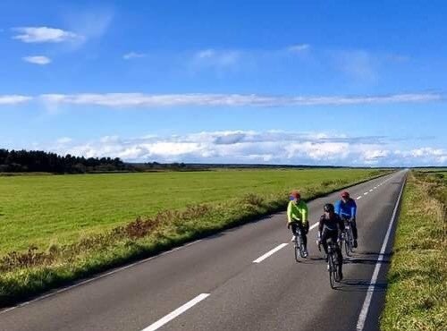 支笏湖、パレットの丘、テレビでしか見たことのない野生動物が目の前に