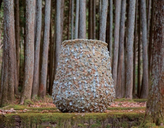 田中良和 《Seinan》 2020年 撮影／野田耕一 「ヤモリ・プロジェクト＃2 in 瀬戸」より