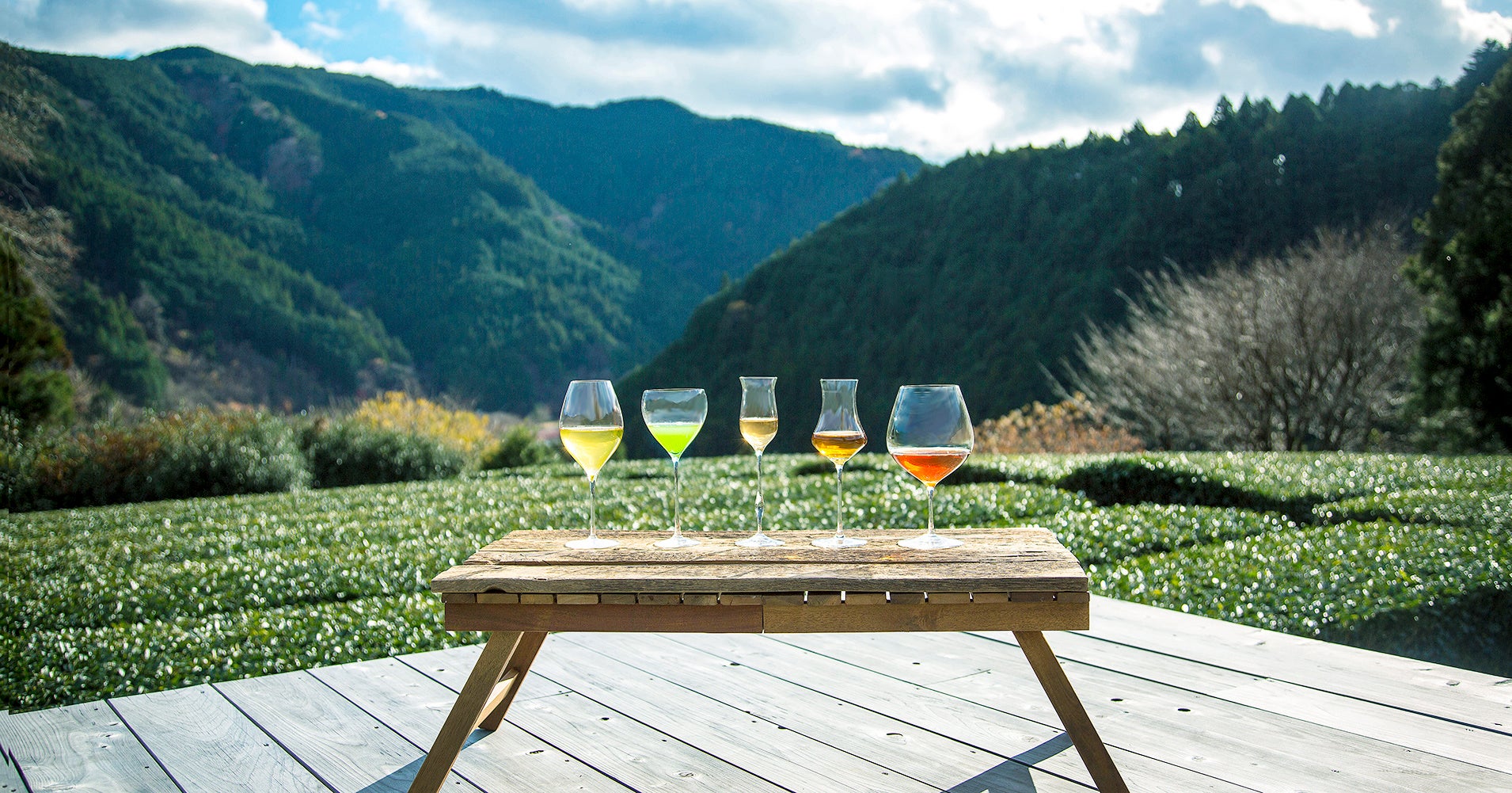 5品種（5種類）ごとに、香り・味わいを際立たせるグラス（茶器）の形も提案