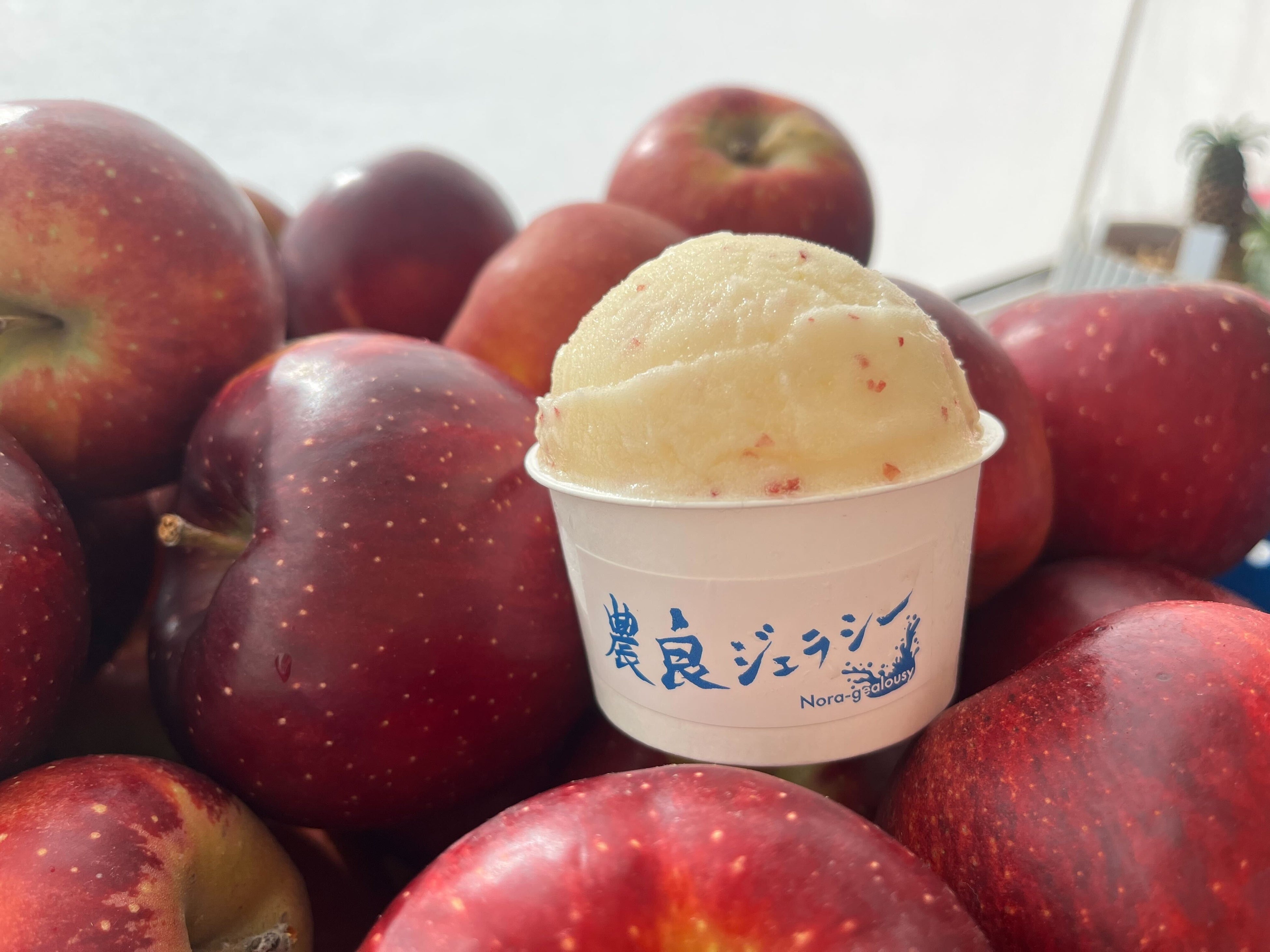 山梨の産地“津金りんご”を使ったジェラート冬季限定発売 - 富士山経済新聞